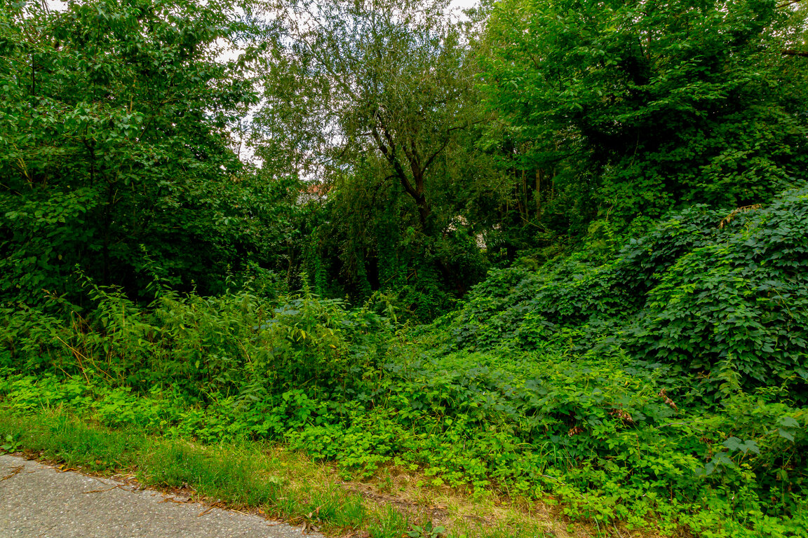 Image: _JA 40769 Natur pur.jpg